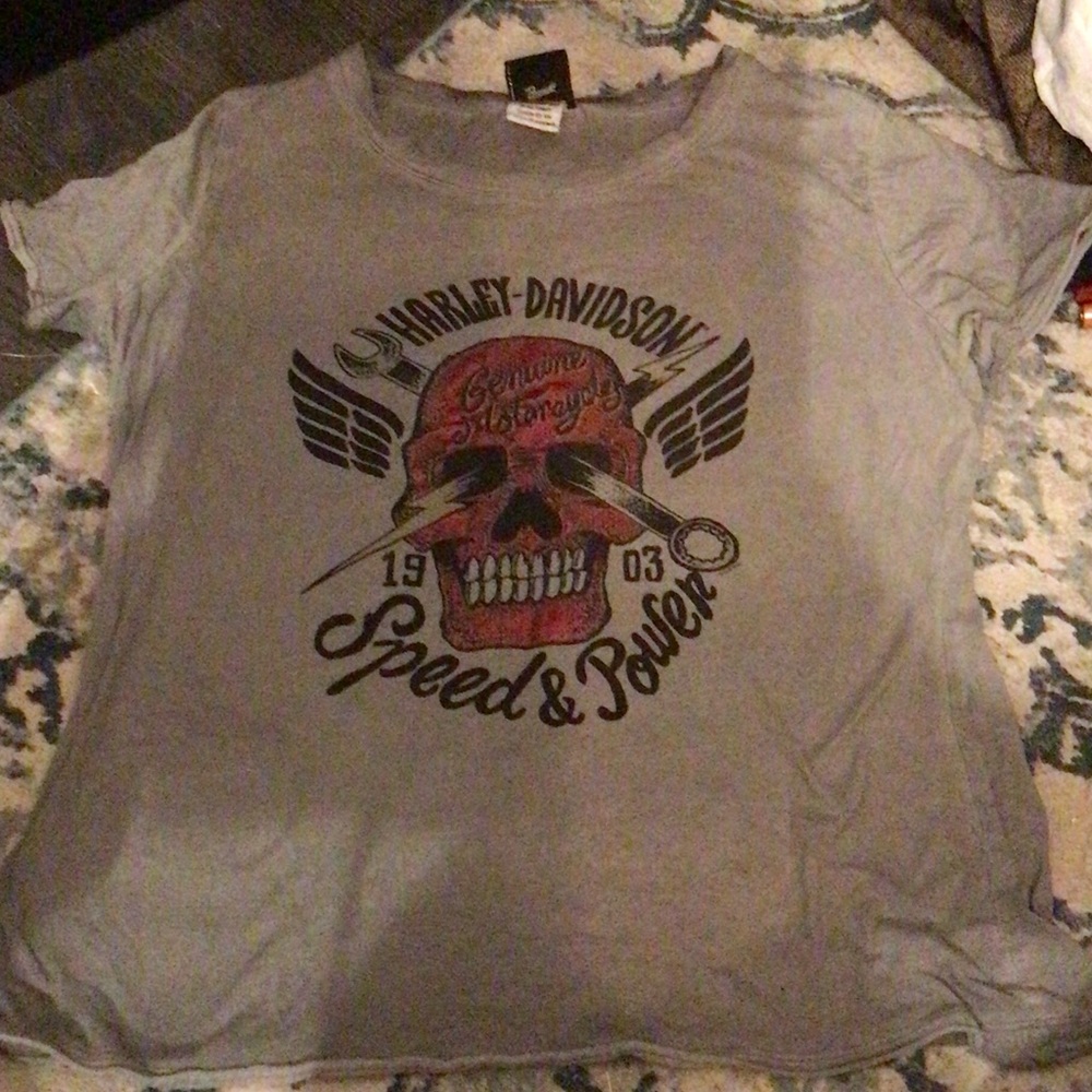 Harley-Davidson Gray Tee with Black Logo Print